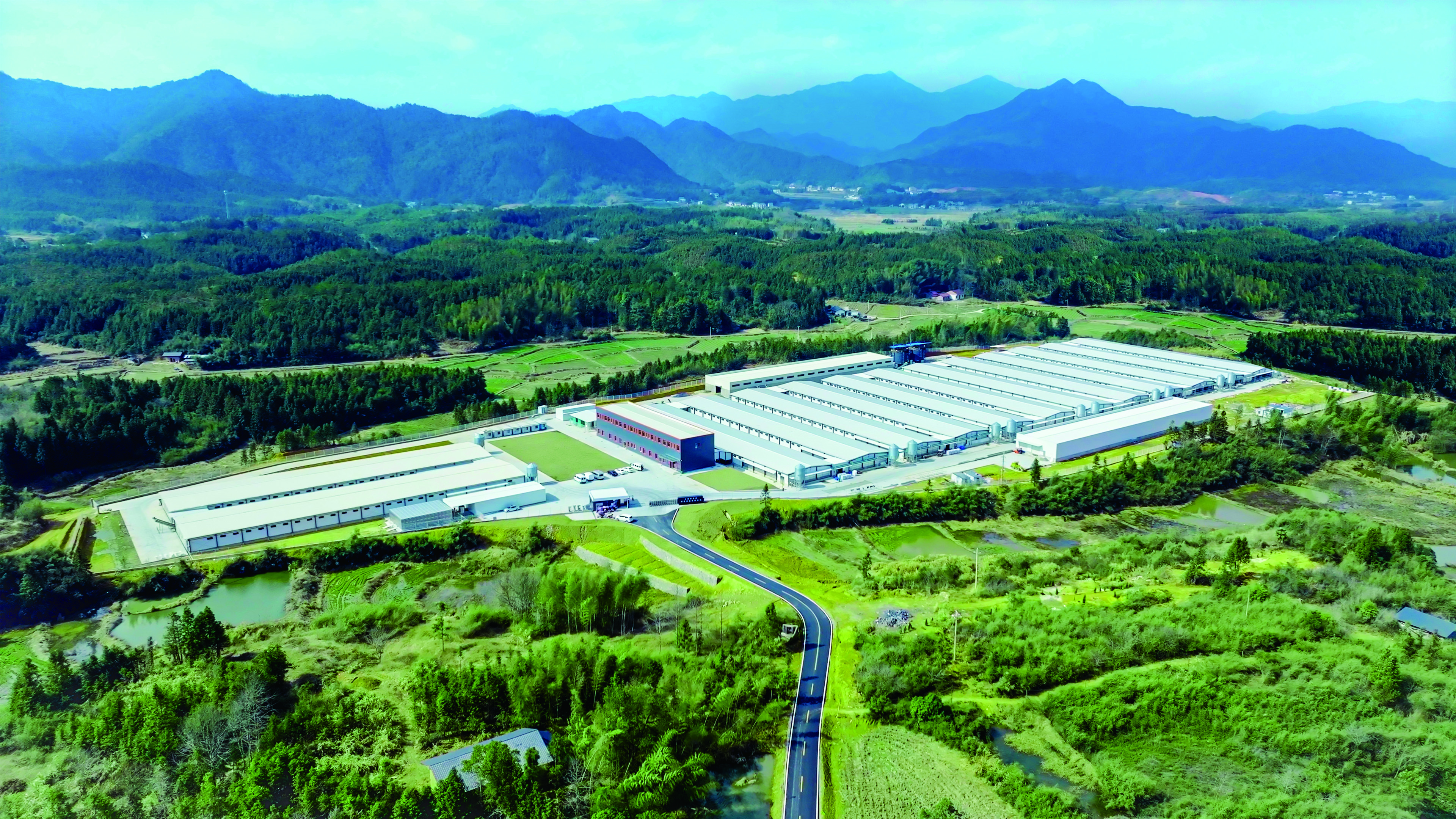 新春家書|根深則葉茂,心定則路遠 新春家書|根深則葉茂,心定則路遠